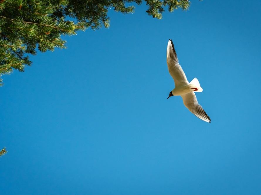 remembering her majesty